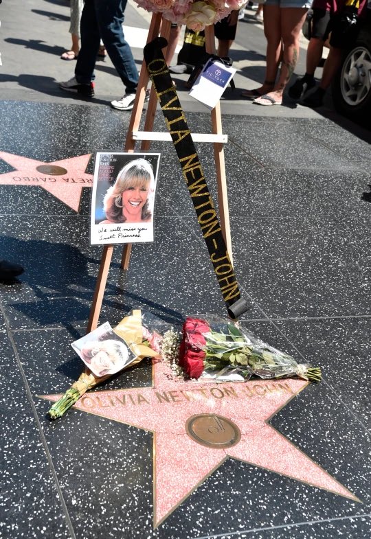 Of course, Dame Olivia Newton John has a star on The Hollywood Walk of Fame located at 2925 Hollywood Boulevard
#ILikeToWatch #OliviaNewtonJohn #RIPOliviaNewtonJohn