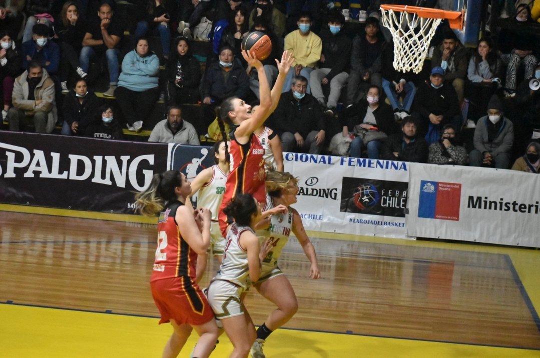 Federación Básquetbol de Chile tweet media