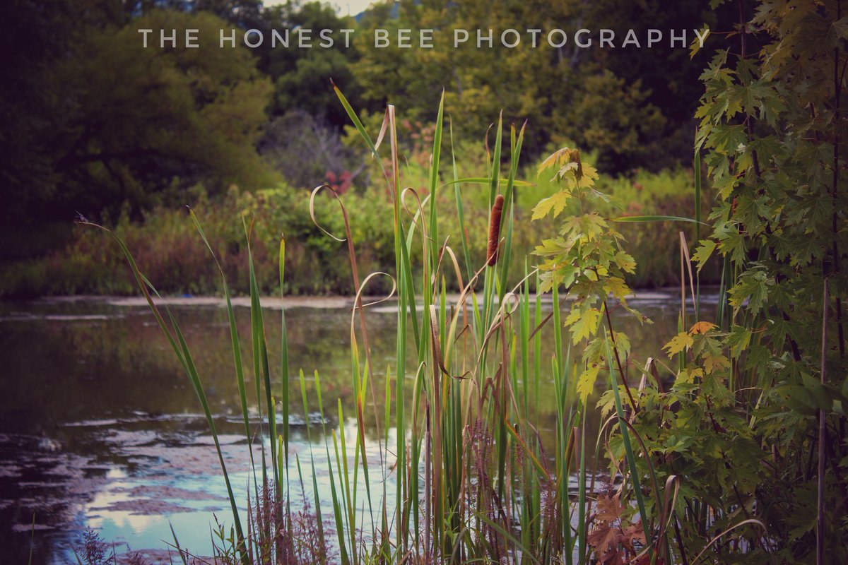 Rudebearz's tweet photo. Hey lovlies, follow me for more photography and art! https://t.co/g1NkKcyREo
.
.
.
.
#photooftheday #beautiful #art #photography #happy #picoftheday #nature #cottagecore #funny #astrology #memes #wearetheweirdosmister #whimsycore #witchycore #aesthetic #picoftheday https://t.co/Gc5b5ZktkL