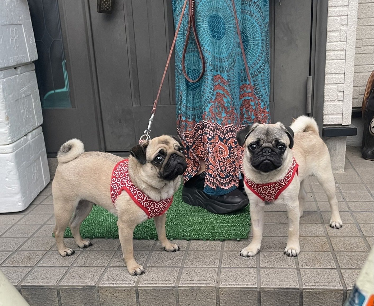 パク Twitter Search Twitter