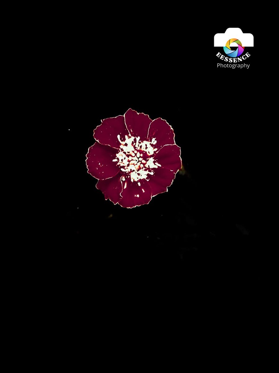 eessence_pg's tweet photo. #camera 
#IGworldclub
#InstaDaily
#Instafocus
#InstaGood
#InstaPhoto
#iPhoneography
#Photography 
#Photogram
#PhotographyAddict
#PhotographyDaily
#Photographyday
#PhotographyIsLife
#PhotographySkills
#PhotographyStudio
#PhotoOfTheDay
#Photoshop
#PicOfTheDay
#SnapShot #lightroom https://t.co/P2Oh8qRTMC