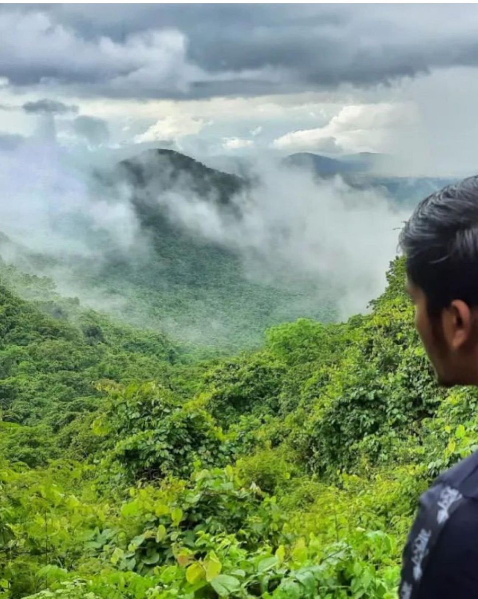 PureOdisha's tweet image. 📍Kapilash temple and ghat, Dhenkanal Odisha. 📷are by @achutatudu and @_durgamadhab_ (insta id). The high peaks of #Kapilas range enshrines the temple of Lord Shiva at a height of abt 457 meters.
#kapilastemple #pureodisha #dhenkanaldiaries #dhenkanal  #kapilash #odishatourism