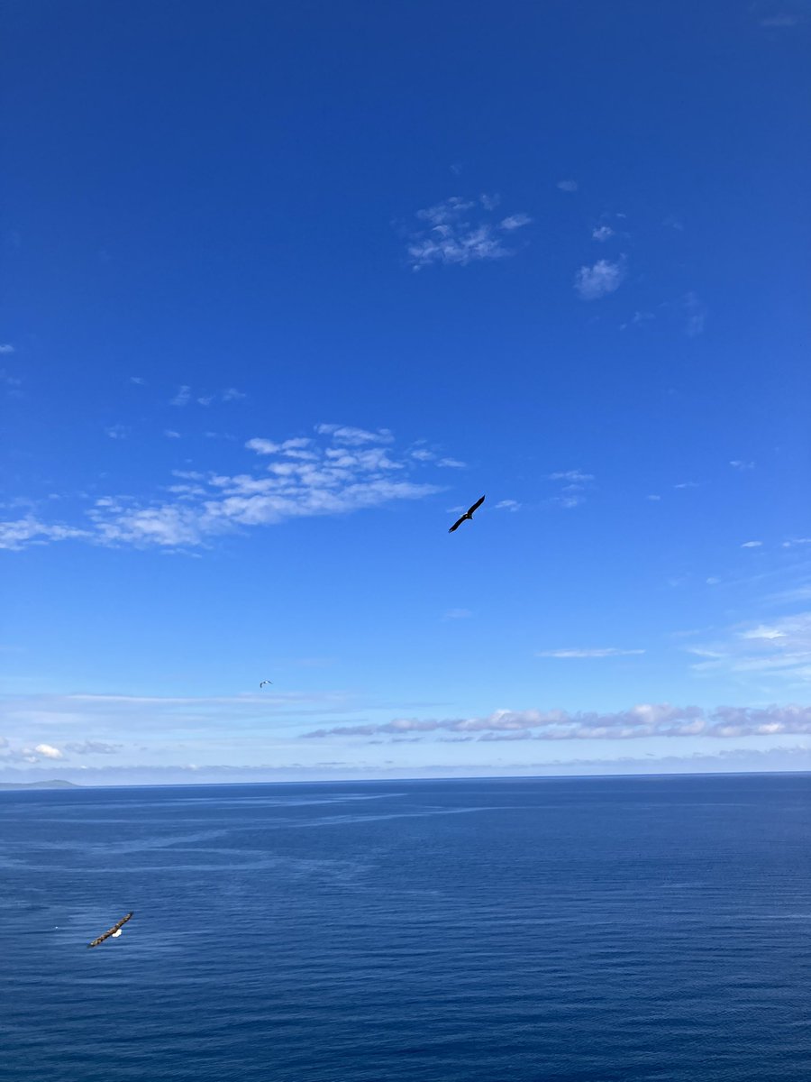 AT_official_jp's tweet photo. 北海道の北まで来ました🏔
綺麗な景色が沢山！
ビビッとくるモチーフに出会えそうな予感です。
#ATlife #夏休み https://t.co/WTeXQPSw8p