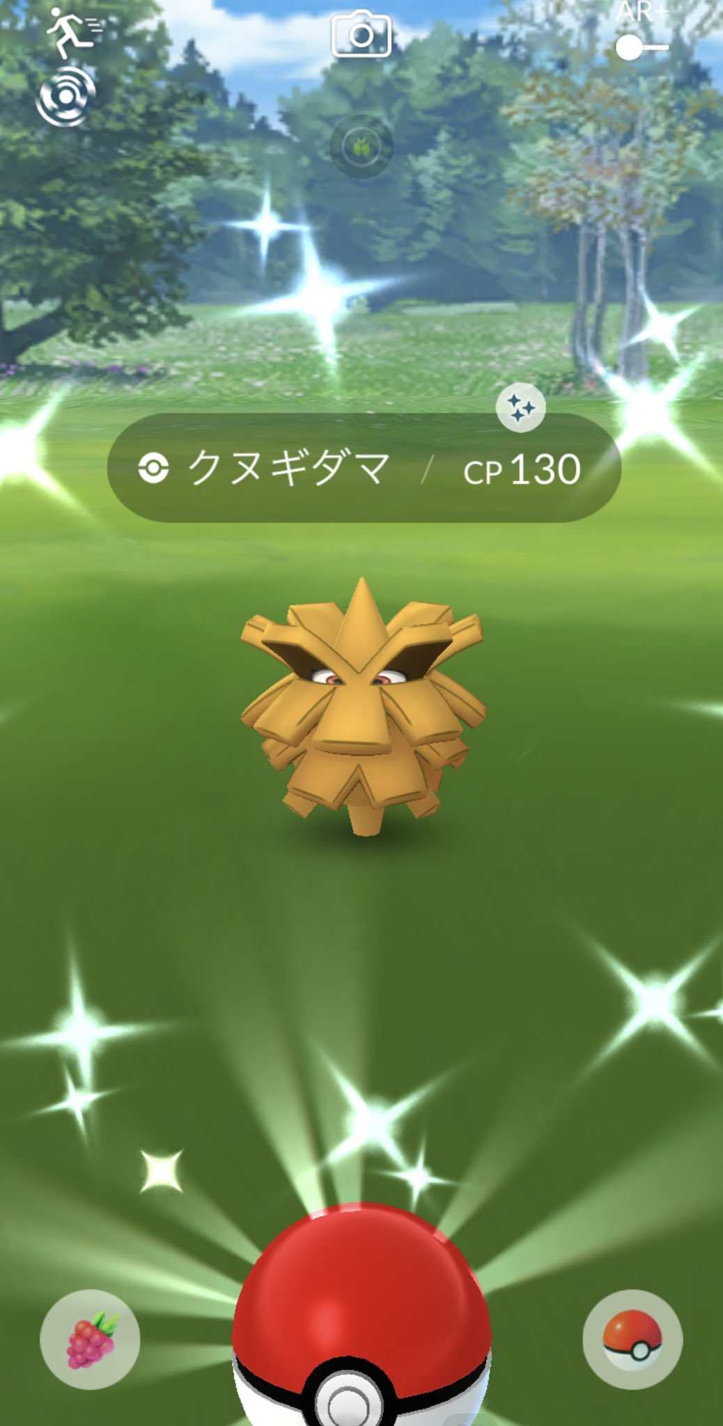 クヌギダマ色違い Twitter Search Twitter