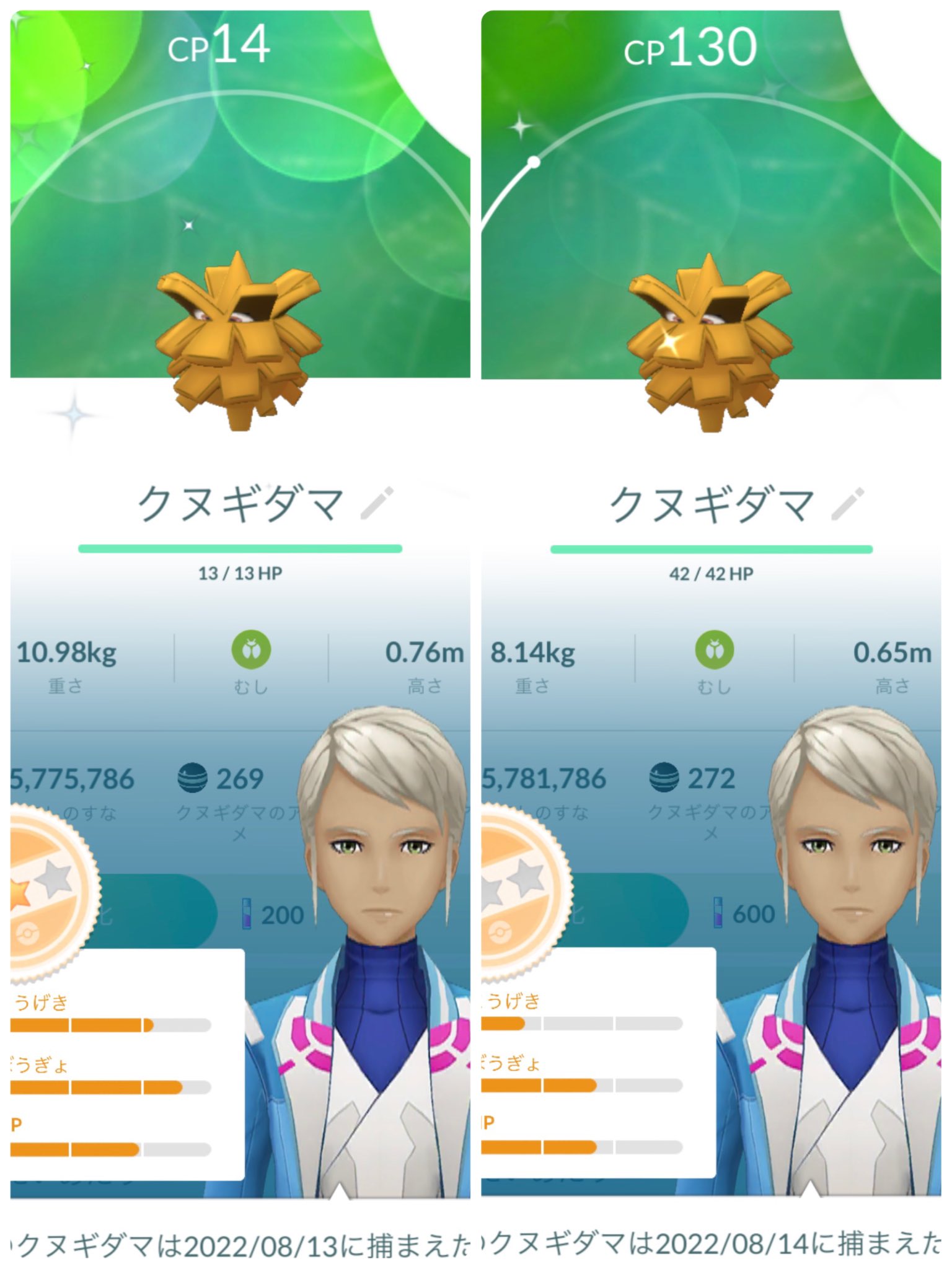 クヌギダマ色違い Twitter Search Twitter