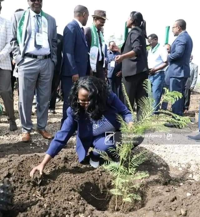 dinka_merga's tweet photo. ጠቅላይ ሚኒስትር ዐቢይ አሕመድ የድሬዳዋ ነፃ የንግድ ቀጠናን መርቀው ከፈቱ

የድሬዳዋ ነፃ የንግድ ቀጠና ጠቅላይ ሚኒስትር ዶክተር ዐቢይ አሕመድ በተገኙበት ተመርቋል። https://t.co/LhLnLFuKqx