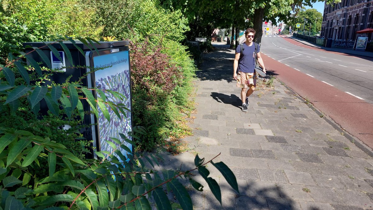 Roeland Merks tweet media