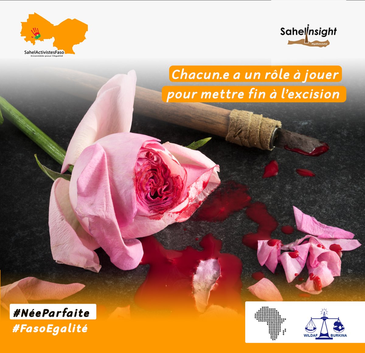 FasoEgalite's tweet photo. Dans la lutte contre les MGF l’inaction n’est pas une option, nous devons nous unir et récolter des fonds afin agir pour l’élimination des mutilations génitales féminines ».
#NéeParfaite
#StopMGF 
#FasoEgalité
#lwili
#burkina https://t.co/EsdyT7Ynz6