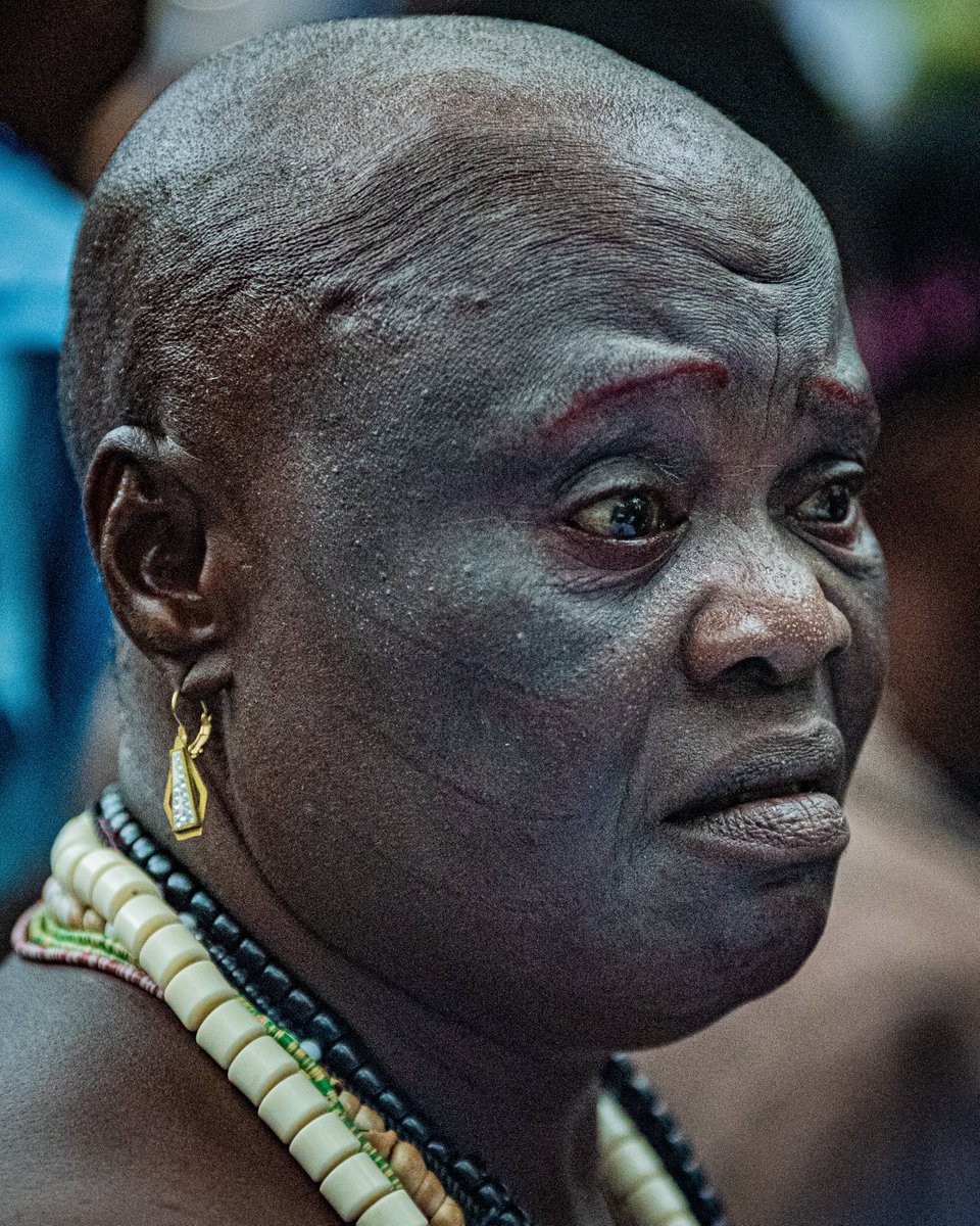 SarkinFOTO tweet media