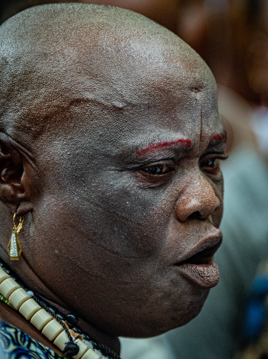 SarkinFOTO tweet media