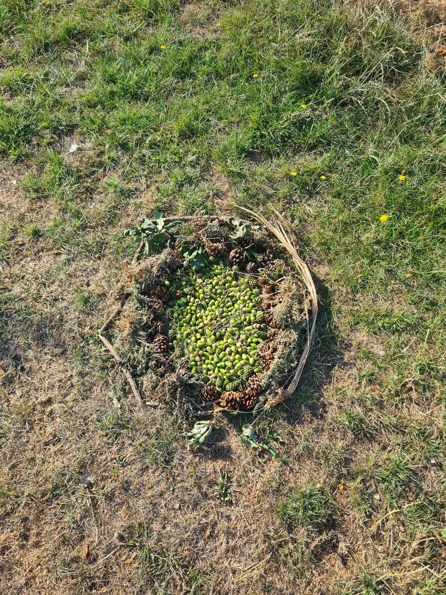 The Kids of Thoch Childshill made art from found nature. Tag us if you can find it, when you next visit the Park! 
#natureart #basinghillparknw11 #barnetparks #thoch