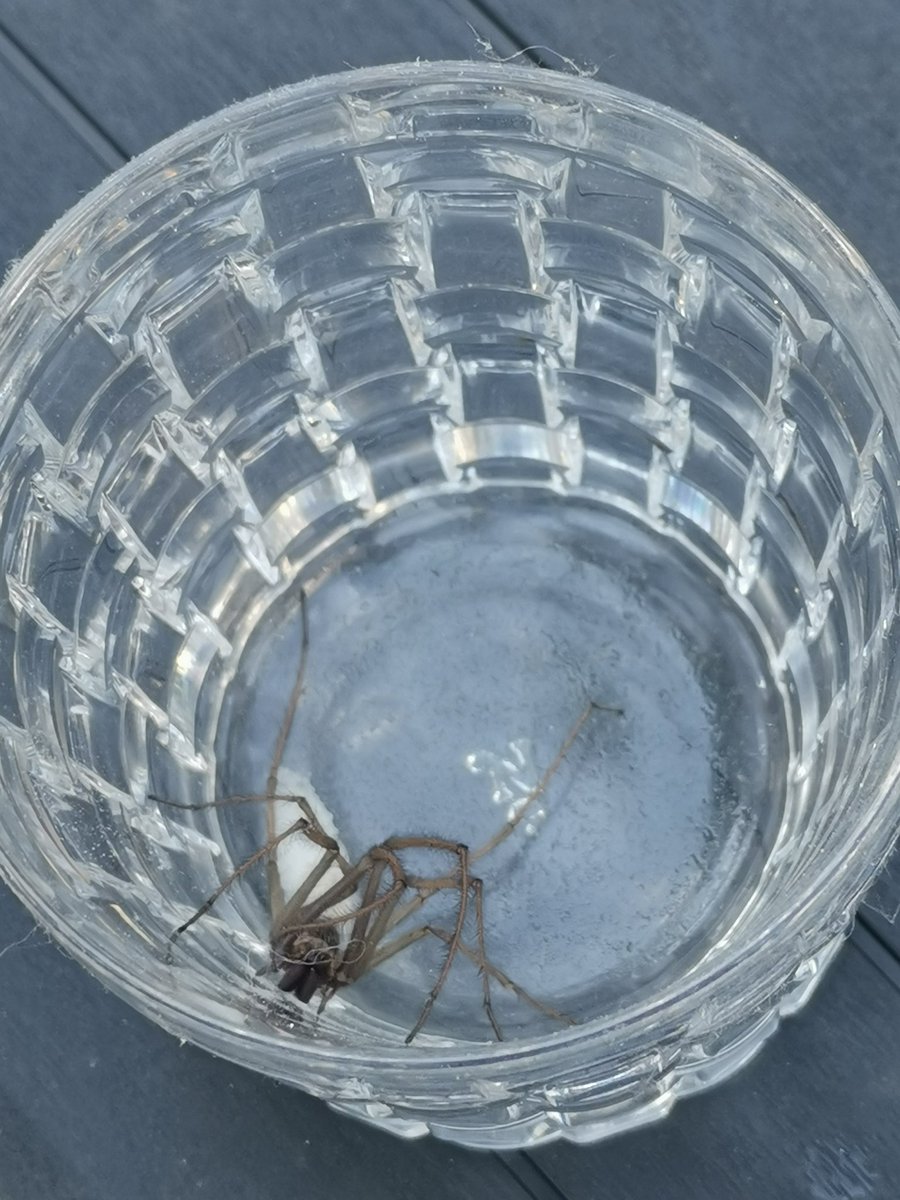 NIE WIEDER KANN ICH SCHLAFEN!!!!