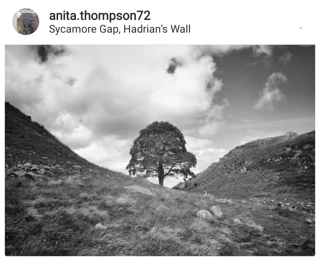 NorthEastTweets's tweet photo. Sycamore Gap. (July '20)
#HadriansWall #famoustree https://t.co/H4yyYQqzej