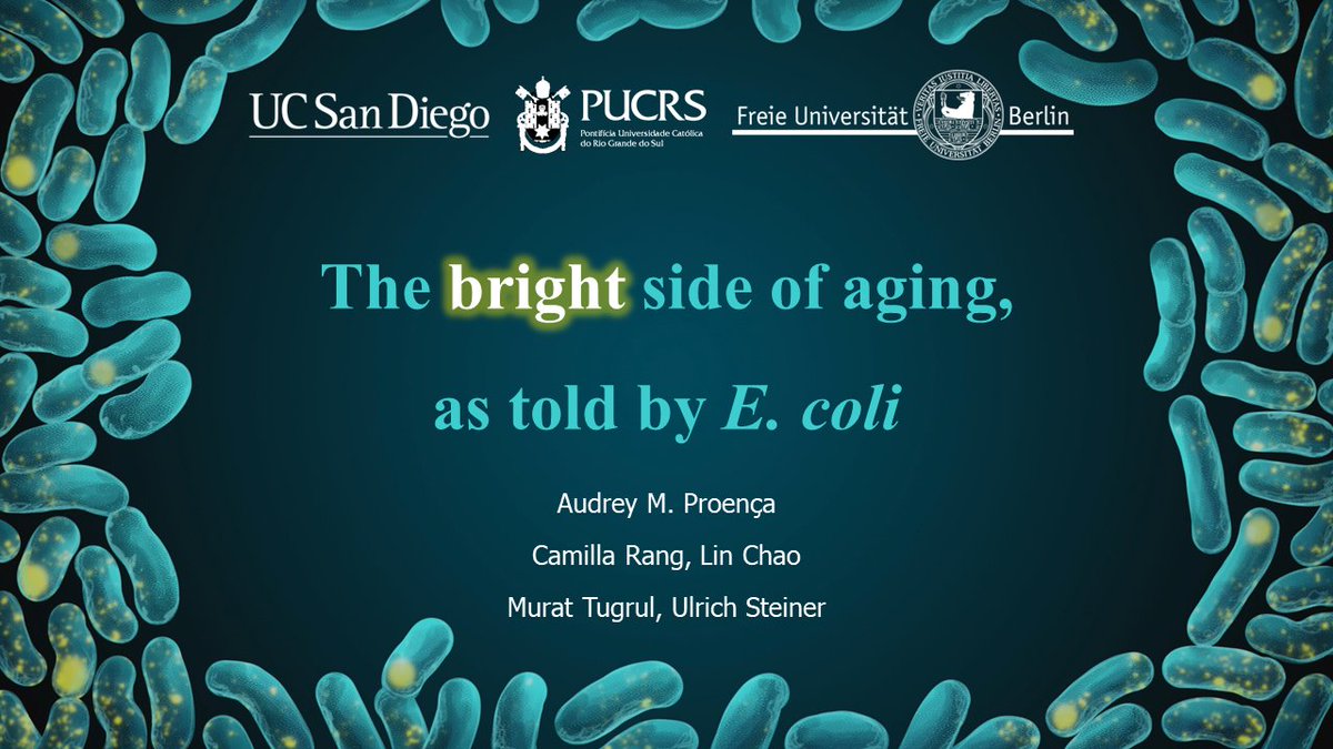 On my way to Prague for #ESEB2022! I'll be presenting on Thursday at 14:45 (S34). Looking forward to chatting about biomarkers of aging -- as always, from a bacterial point-of-view!