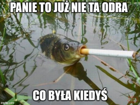 coolfonpl's tweet photo. wtem #odra https://t.co/bSHCii2dIn