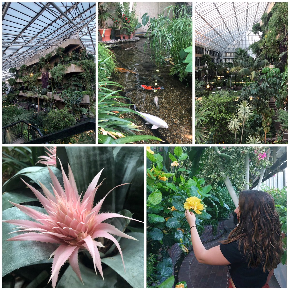 gdarpa92's tweet photo. Another hidden gem discovered in London! @BarbicanCentre ❣️
#barbicanconservatory #barbicancentre #hiddengen #london #forest #gymgirls #tarzanandjane #nightout https://t.co/9GKWbIyeed