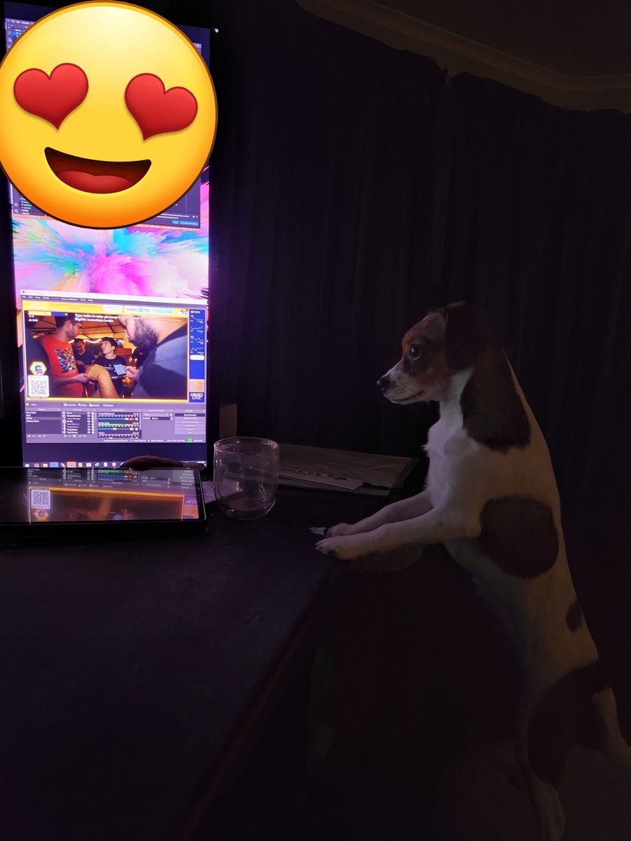 NimiqLIVE tweet media