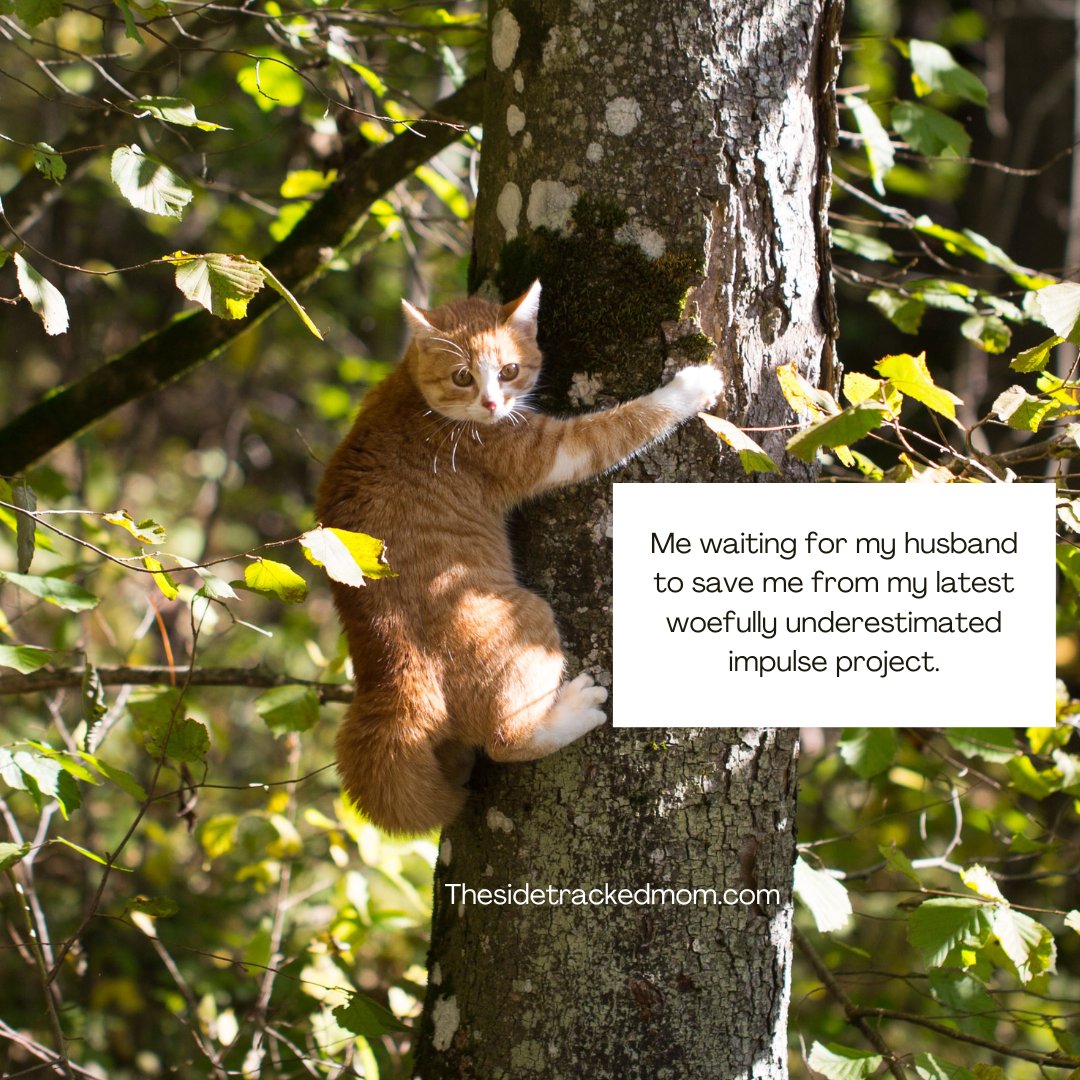 I can't help that my confidence is so much louder than my skillz. #adhd #impulsivity #risks #iwilllearnnothingfromthis