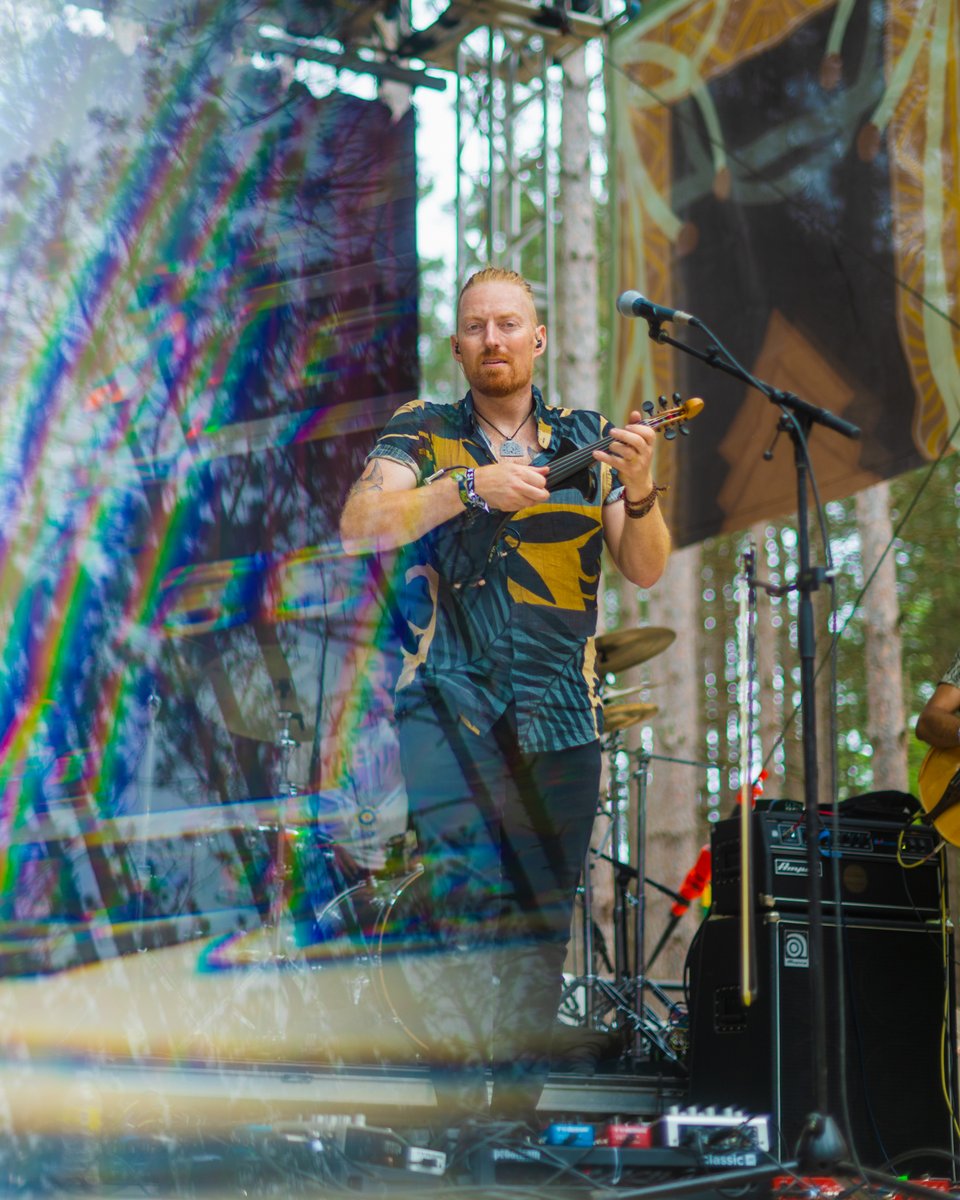 Electric Forest ⚡🌲 tweet media