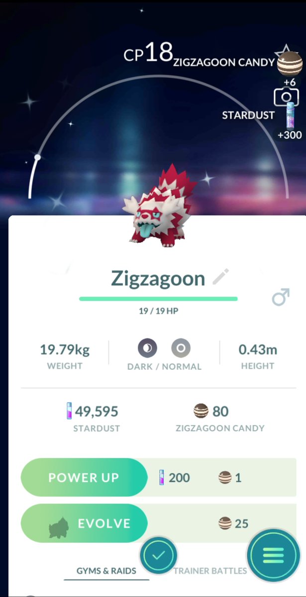 Joe_Reimer's tweet photo. Got that cotton candy zigzagoon https://t.co/rkqSK4UnBg