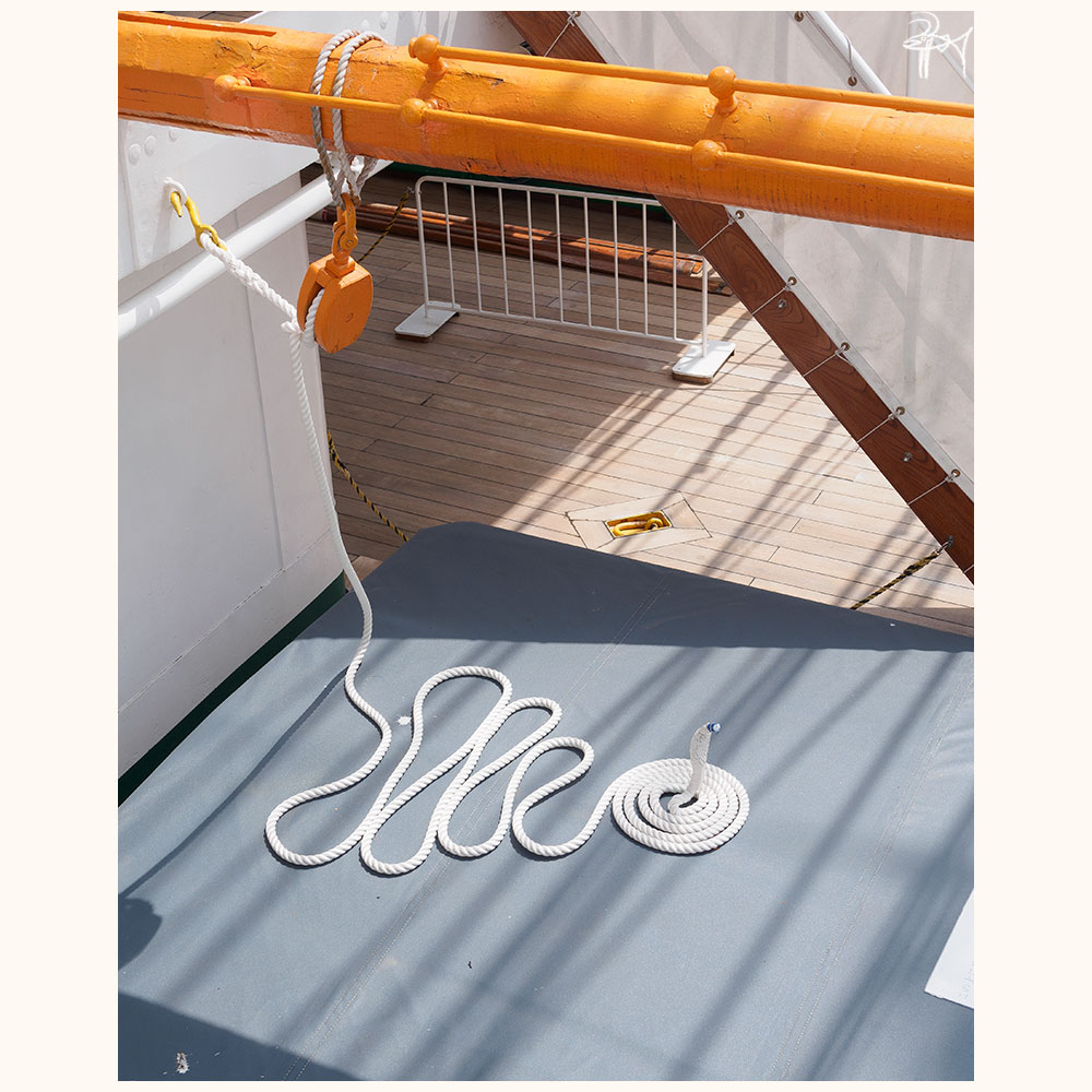 鎌首 Twitter Search Twitter