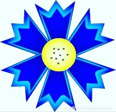 Eerika my Estonia 🇪🇪🇺🇦 (@eerikaband) on Twitter photo 