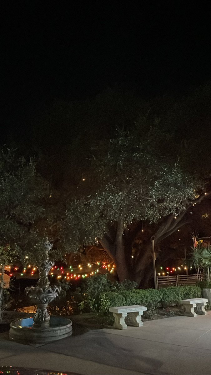 🚶🏻‍♀️ Momentos 💫