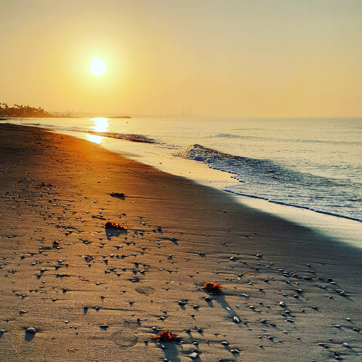 charli_says's tweet photo. Beach walk, iced coffee, writing desk. This is the order of the day ❤
#writingcommunity #charlisays #writinginspiration #writerslifeforme #writing #writingzone✍️📝 #beachsideliving #beachwalk #beachlife #sundayvibes #sunrise #beach https://t.co/C8e00P3SCT