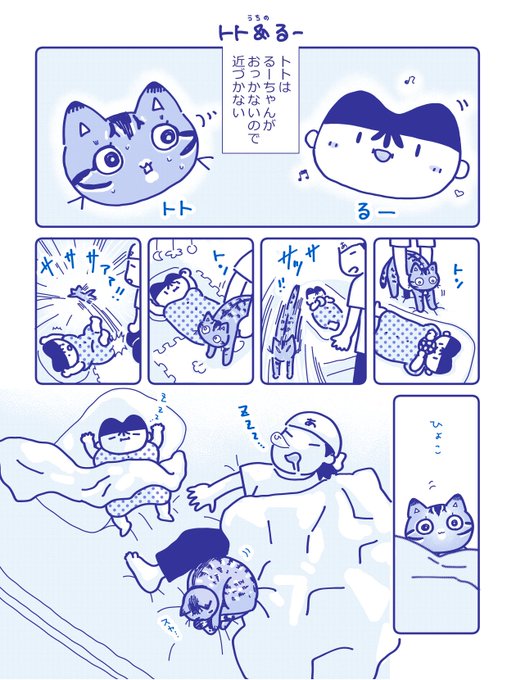 トトはご主人たまが大好きなので隙をみて傍に来てくれます! 