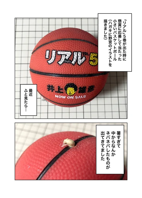 夏の日記です 