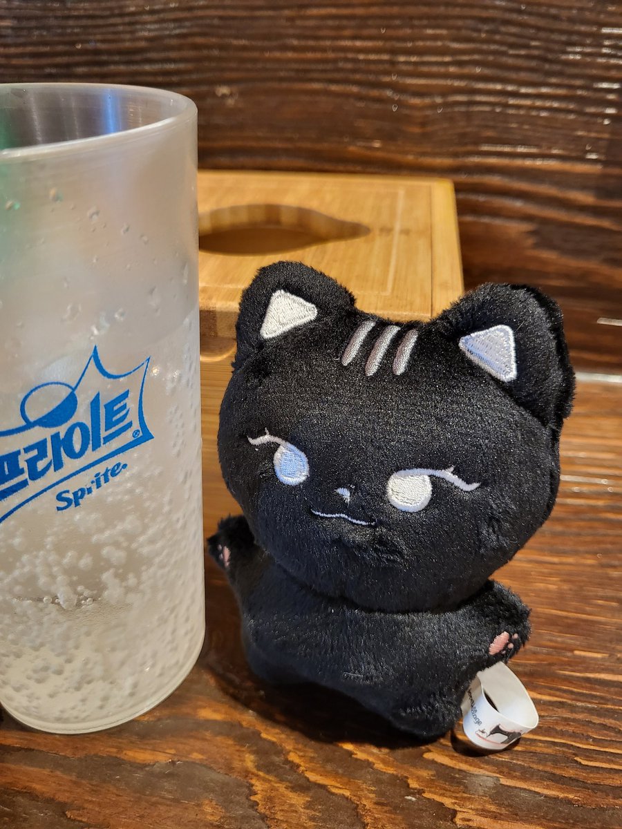 깽냥이는 스프라이트 샤워중