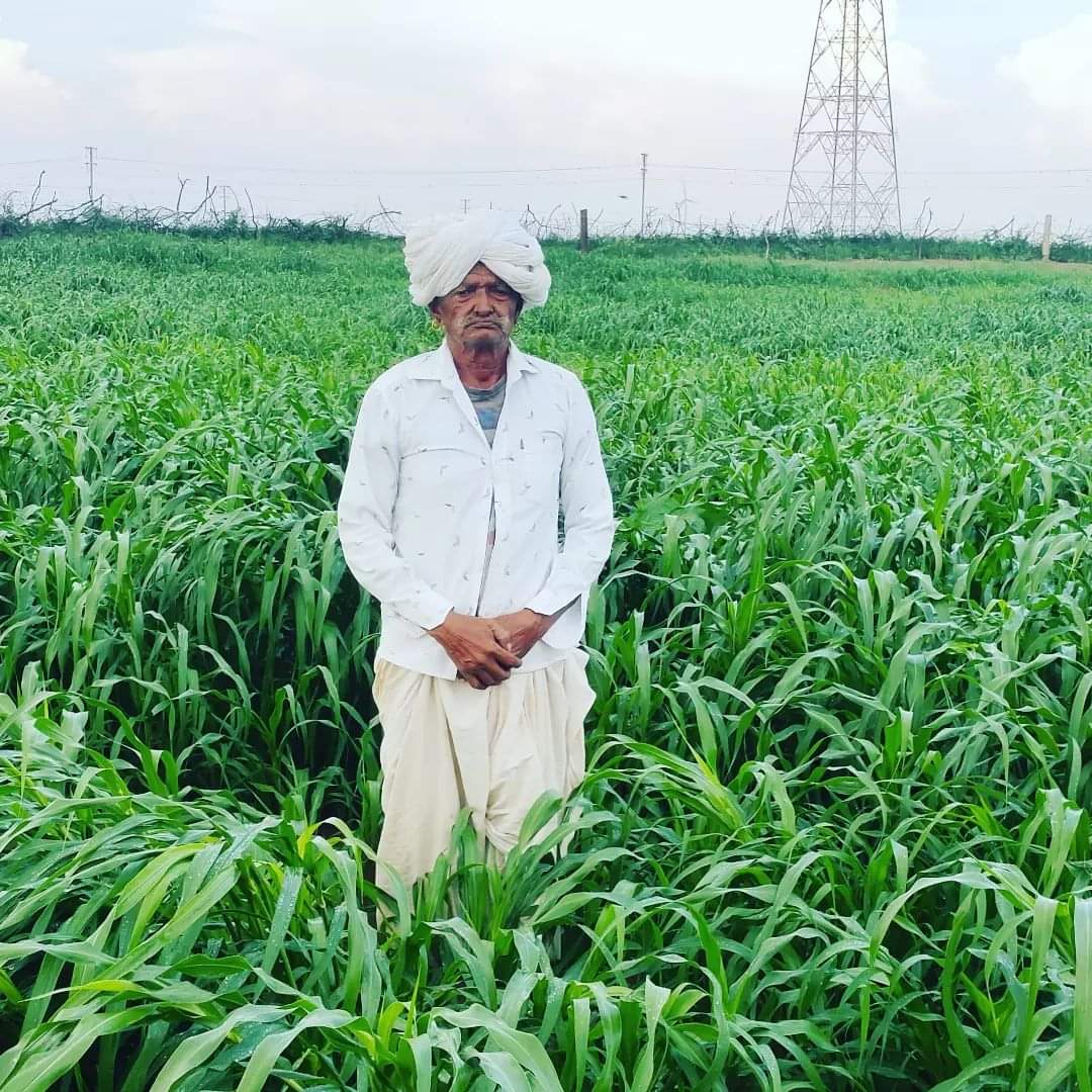 Joga Ram Choudhary Barmer (@JogaramBarmer) / Posts / X
