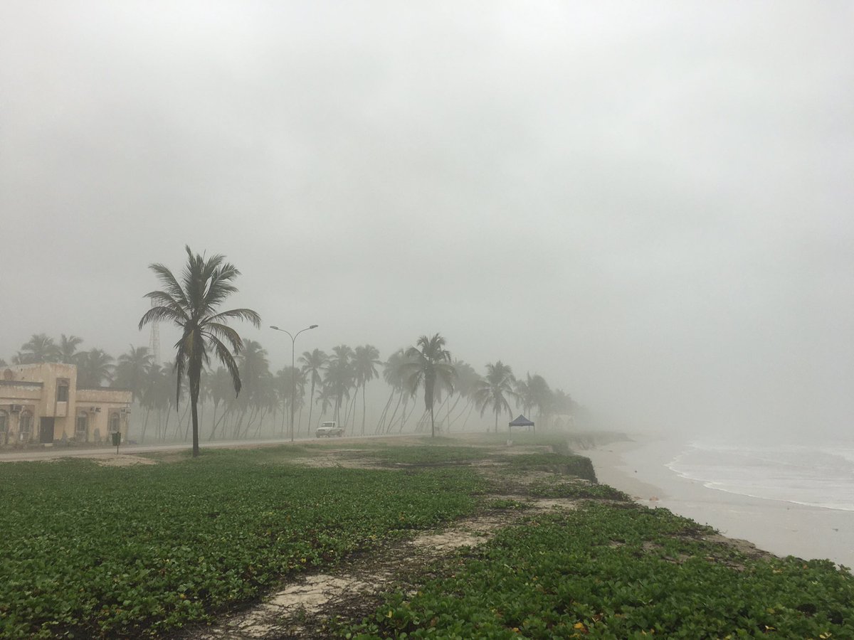 الخريف نعمة من الله. ظفار تنوع طبيعي وبشري وثقافي جاذب ومميز،  وأثبتت عاما بعد عام أهنا منطقة جذب للسياحة العائلية. أتوقع السياحة في الخريف على مفترق طرق: المستقبل القريب سيشهد نقلة نوعية في مجال السياحة في هذا البلد. لدي ثقة في القائمين على الأمر. الصورة من طاقة الشارع البحري