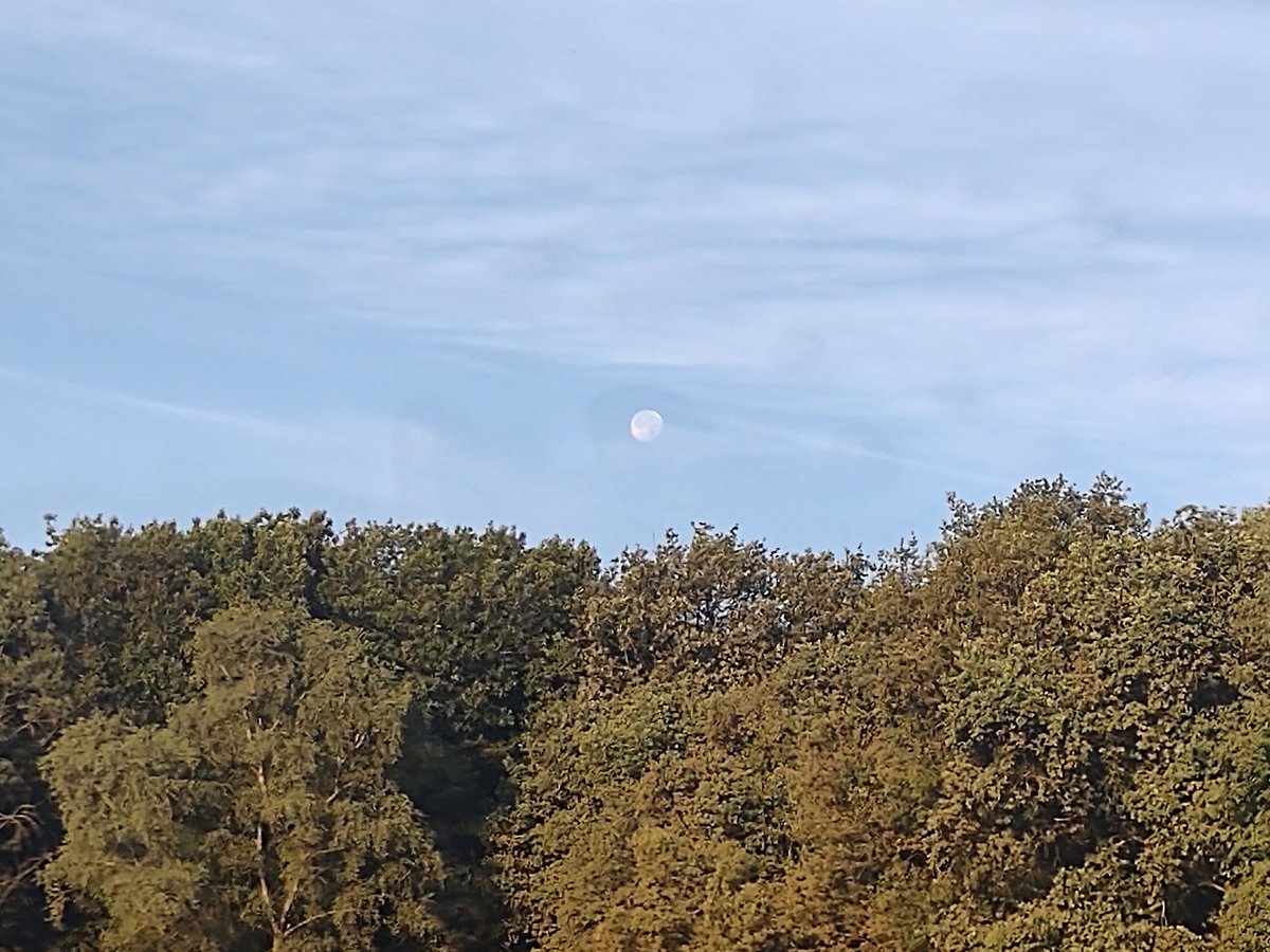 sassy0982's tweet photo. Euch allen einen zauberhaften Sonntag ☀️.
Ein bisschen später als geplant, aber immer noch in der "der frühe Reiter genießt den Wald für sich alleine" Edition 😌
#Sonntagslächeln #jedenTageinLächeln #Ausritt https://t.co/dqxReq7ho1