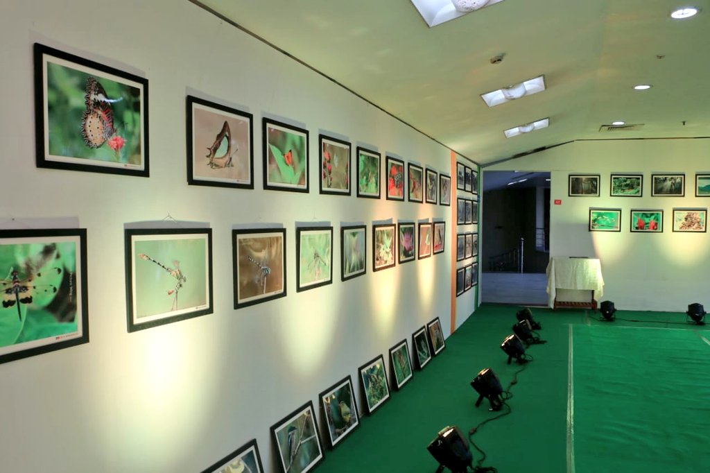 mygovtripura's tweet photo. Tripura is enriched with wildlife &amp; biodiversity.

Here's a chance to witness the wildlife and biodiversity through a photo exhibition, organised by @ForestTripura GoT as a part of #AzadiKaAmritMahotsav at Rabindra Satanarshiki Bhavan,Agartala from 13th to 15th August.

Do visit https://t.co/NLSwS1rEog