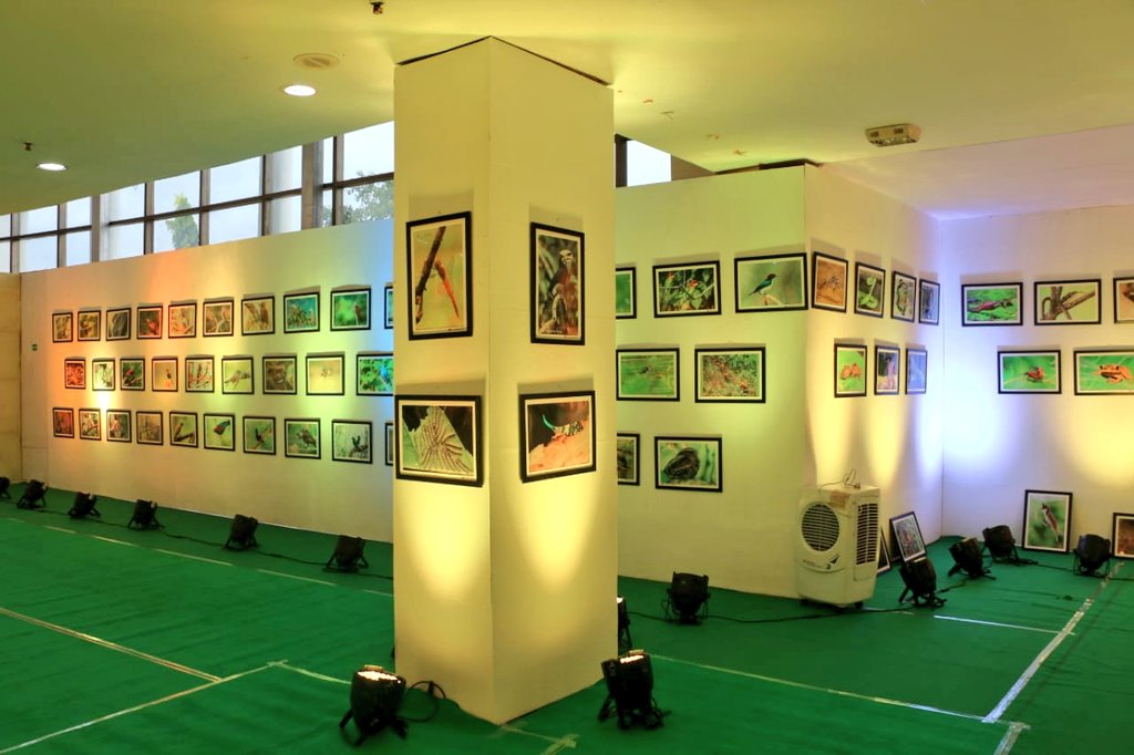 mygovtripura's tweet photo. Tripura is enriched with wildlife &amp; biodiversity.

Here's a chance to witness the wildlife and biodiversity through a photo exhibition, organised by @ForestTripura GoT as a part of #AzadiKaAmritMahotsav at Rabindra Satanarshiki Bhavan,Agartala from 13th to 15th August.

Do visit https://t.co/NLSwS1rEog