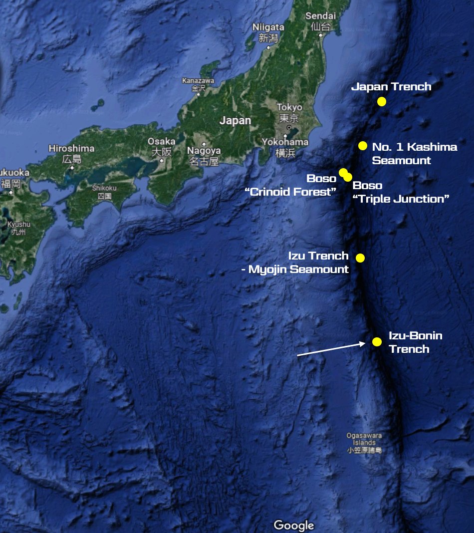 VictorVescovo's tweet photo. Yesterday, made the first human descent to the bottom of the Izu-Bonin Trench, making Dr. Katsu Michibayashi the deepest-diving Japanese ever (initial data indicates 9,789m max depth). Saw unusually large crinoids, mantle rock from the subducting plate, and a jelly at 9,703m. https://t.co/8prf4hSDeI