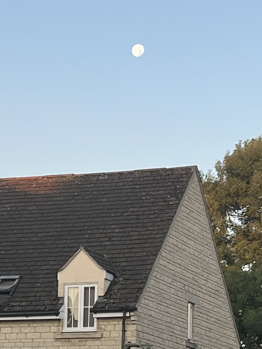 MoaT75's tweet photo. You know it’s early when you leave for a #TT and the moon is still up 😮 #DPCC #ORRL https://t.co/EUFKv0kmC8