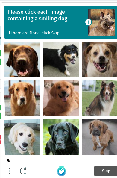 I got a captcha test. Identify Smiling Dogs ! now how do i find the smiling Dogs in this picture ! #Captcha