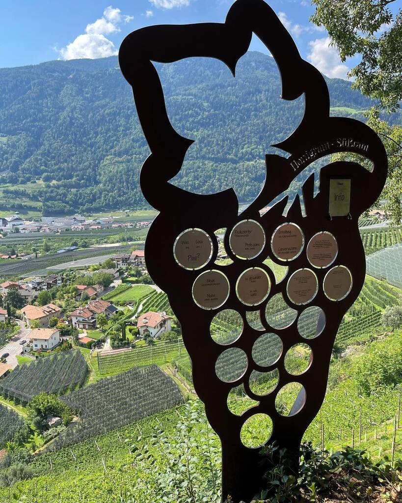 cspadoni's tweet photo. Merano & dintorni - Giorno 7 - dalla Waalweg di #Algund #Lagundo alla mostra di arte contemporanea alla #Kunsthaus @love_merano @visitmerano https://t.co/eTClsLWyYf https://t.co/sdydt4qrE8