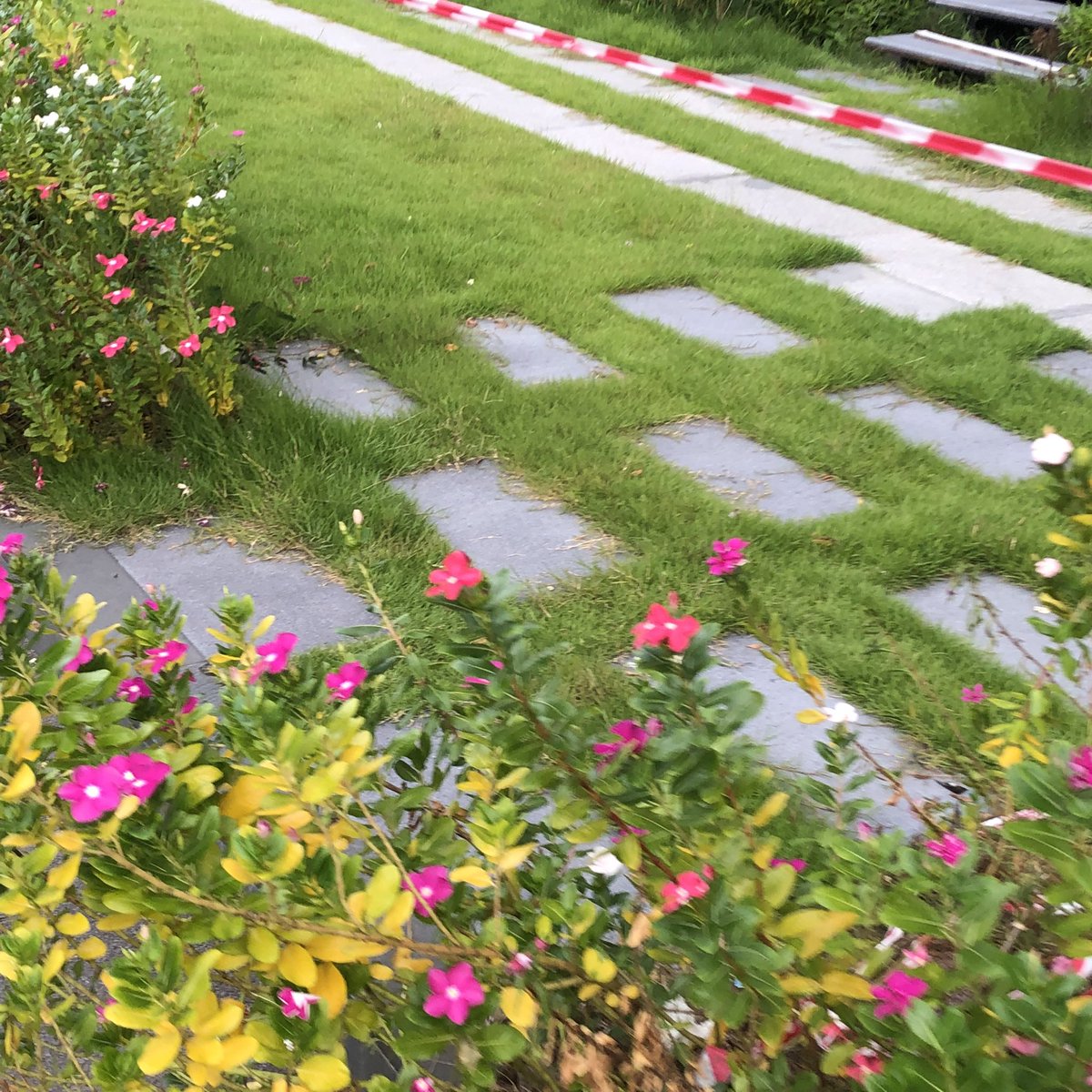 𝒩˳𝒷 ❀⋆ ྀི (rest) tweet media
