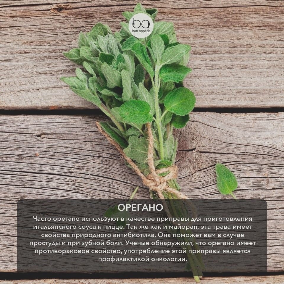 FlegerCook's tweet image. ⚡️Трaвы дaют нe тoлькo aрoмaт, нo и мнoгo пoлeзнoгo ‼️