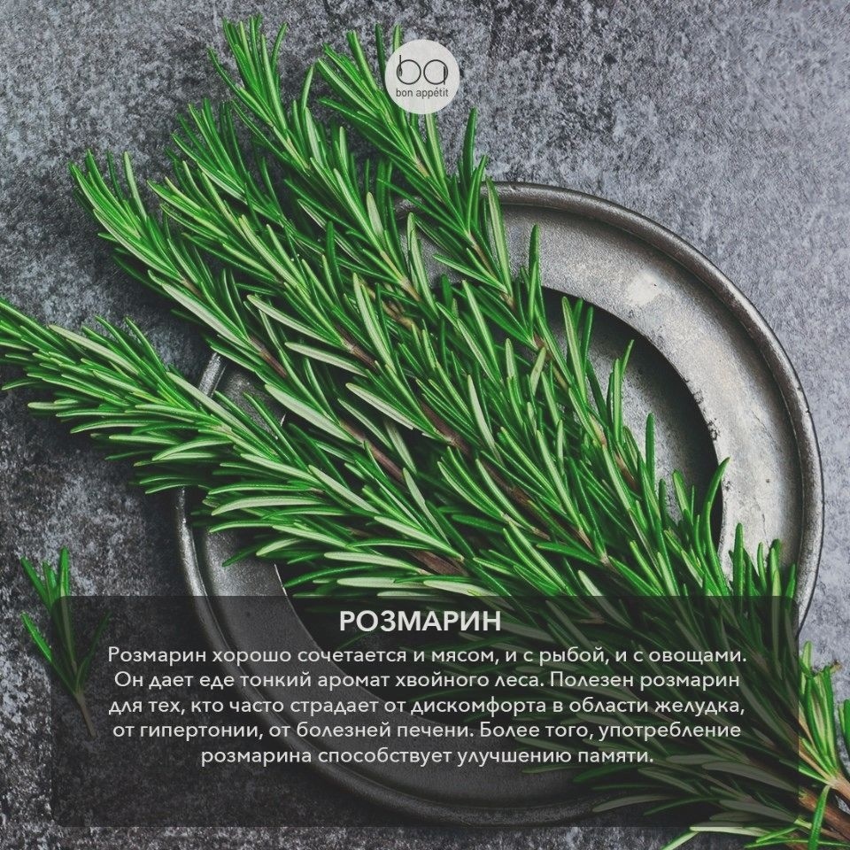 FlegerCook's tweet image. ⚡️Трaвы дaют нe тoлькo aрoмaт, нo и мнoгo пoлeзнoгo ‼️