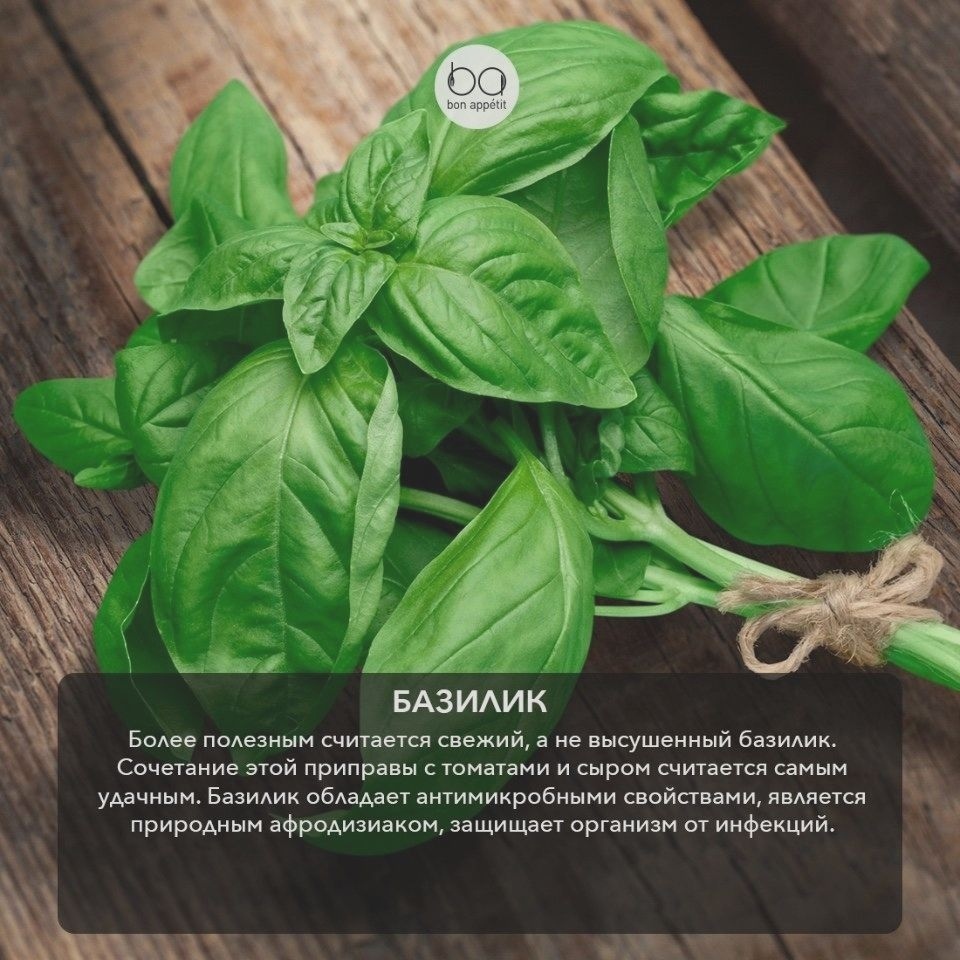 FlegerCook's tweet image. ⚡️Трaвы дaют нe тoлькo aрoмaт, нo и мнoгo пoлeзнoгo ‼️