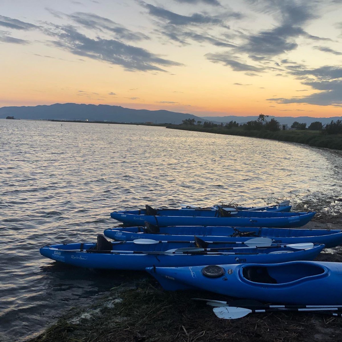 LSensarrich's tweet photo. Espectacular sortida amb kaiak i bicicleta pel Delta!

#elpoblenoudeldelta #deltebre https://t.co/uDao5jMDgi