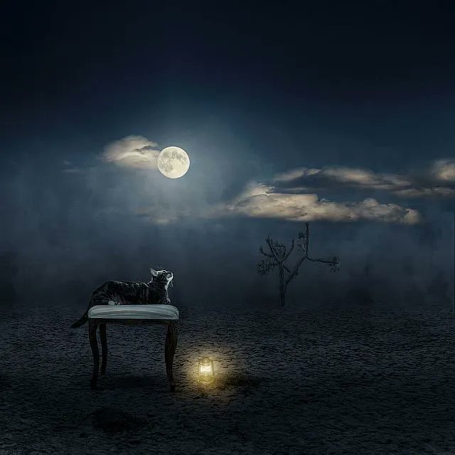 If the notion is good enough it will haunt you till it’s written.
T #Capote 
#writing #screenwriting