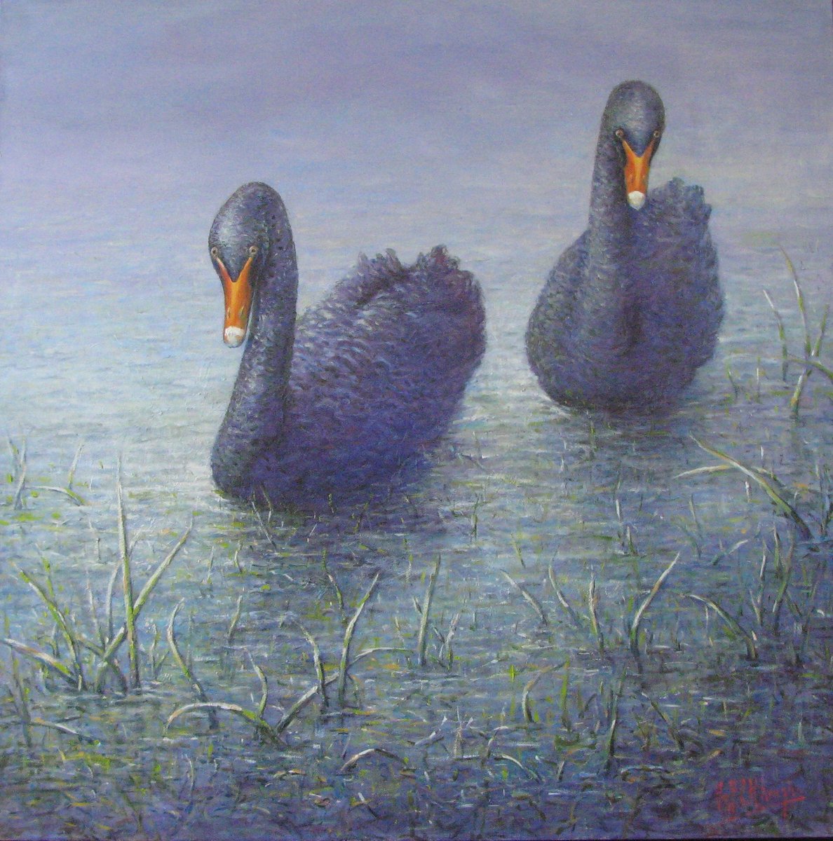 wallaby_studios's tweet photo. 581. "Tranquil Morn - Swans". Oil. 90cm x 90cm. Geoff McKenzie. From Wallaby Studios' Stockroom Clearance https://t.co/VxdJ4cOXyu