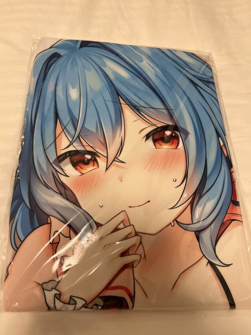 人生初抱き枕カバー
どうやって使うのコレ… 