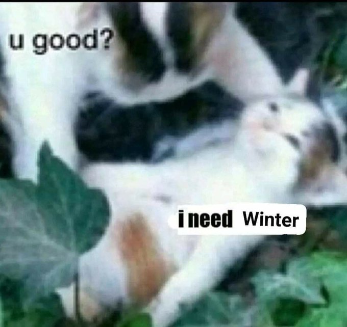 world_eror's tweet photo. Mood https://t.co/gnwEbVbQ9z