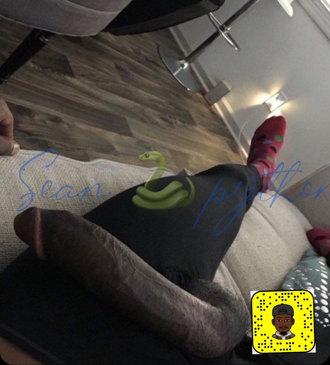 sean_python's tweet photo. @thickshooter180  I’m in Los Angeles love I’m would love to shoot with u  I think we can  make some hot content https://t.co/AtugdZXLWW